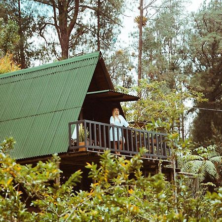 Cardinal Glamping Hotel Guatape Luaran gambar