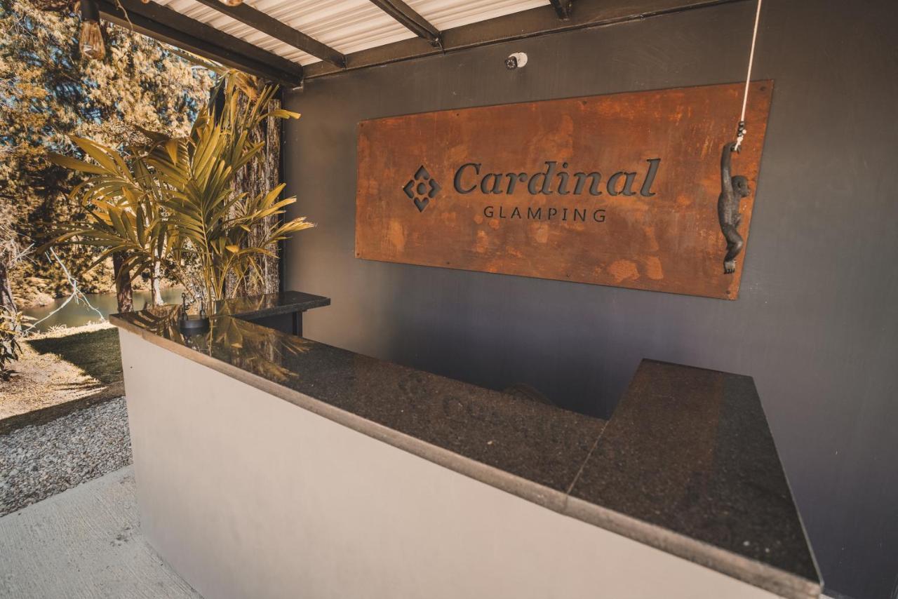 Cardinal Glamping Hotel Guatape Luaran gambar